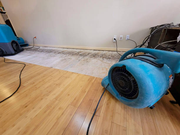 Professional Burst Pipe Water Damage technician working in Riverview, DE